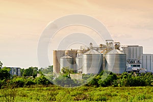 Silo structure for storing bulk dried seed factory for keep inventory