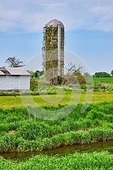 Silo in summer with blue sky, green grass, creek ditch, green ivy climbing up the side