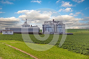 silos on agro-industrial complex with seed cleaning and drying line for grain storage photo