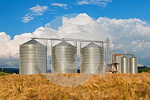 Silos in a barley field. Storage of the crop