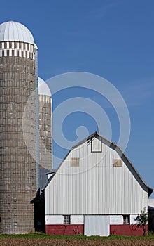 Silos and a barn against blue sky in rural United States