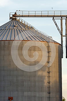 Silos in the field to store cereals