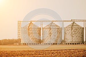 Silos and granary elevator. Modern agro-processing manufacturing plant with grain-drying complex. processing, drying