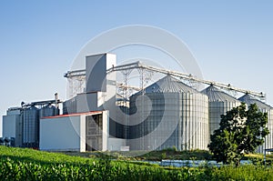 Silos and modern mill