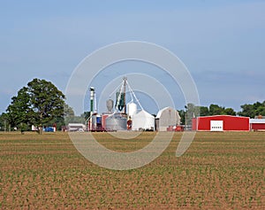 Silos and red barns