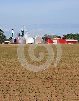 Silos and red barns