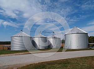 Silos Soybean Field and Copy Space