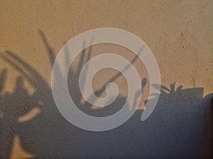 Silouetes from golden hour on the wall