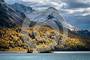 Sils lake with the Alps in the background in Grisons, Switzerland