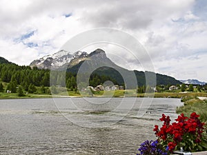 Sils lake and views of the Corvatsch group