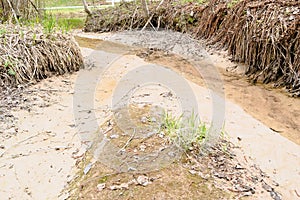 Silt eroding along creek