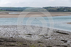 Silt on the seabed. The shallow sea. Seaside landscape