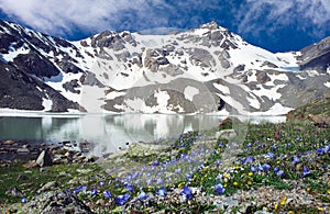 Siltran lake with flovering meadow