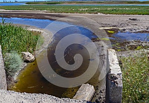 Silty Canal under the road in the lower reaches of the Tiligul estuary, Ukraine