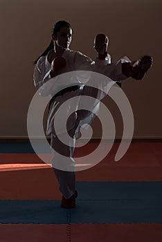 Siluet Mixed Martial Artists Fighting photo