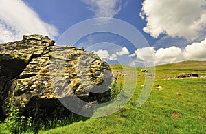 Silurian Boulder, Yorkshire Dales