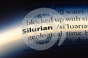 silurian photo