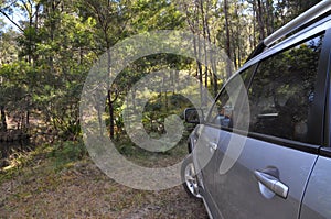 A silver 4WD car facing bushland area