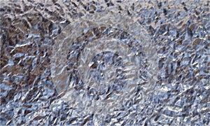 Metal texture.Foil Background Texture.Grunge texture of streaks.Blurred Light.