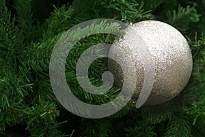 silver ball of Christmas on blur green pine tree for season greeting background