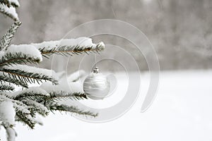 Silver ball, Christmas tree toy hanging on a Christmas tree in a snowy winter forest