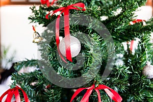 Silver ball hanging on a Christmas tree