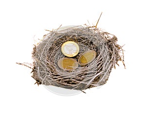 Silver bird nest and euro coins money on white