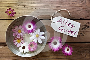 Silver Bowl With Cosmea Blossoms With German Text Alles Gute