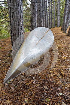 A Silver Canoe Leaning Against a Tree Trunk in a Forest