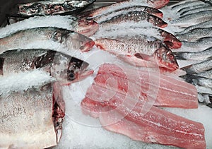 Silver carp fresh fish on ice in a food market