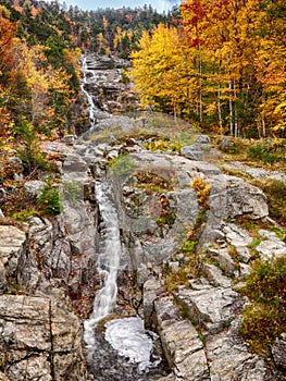 Silver Cascade in Fall Color