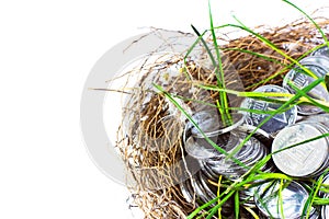 Silver coins in nest