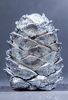 Silver-colored cedar cone.