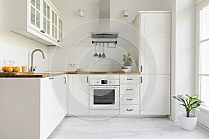 Silver cooker hood in minimal white kitchen interior with plant