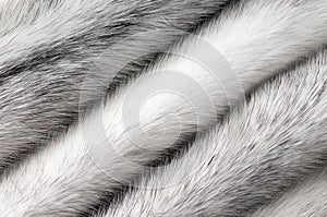 Silver cross mink fur texture macro