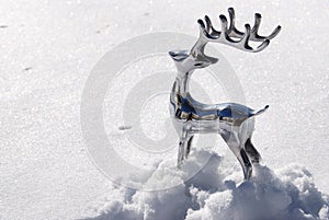 Silver deer walking in snow