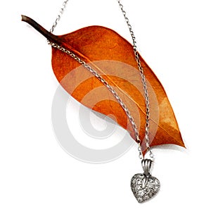 Silver diamond heart pendant on autumn leaf
