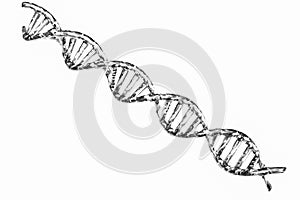 Silver dna structure on white background