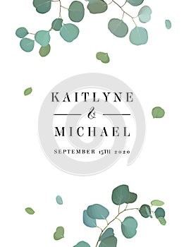 Silver dollar eucalyptus branches vector design simple vertical frame