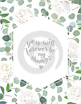 Silver dollar eucalyptus and creamy white rose vector design fra