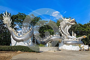 Silver dragon at the plubic chinese temple