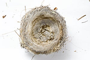 Silver earrings on an empty bird nest on white