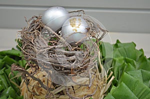 Silver easter eggs in the nest. easter plants