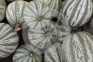 Silver edge pumpkins
