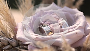 Silver engagement rings. Wedding Rings. Close up.