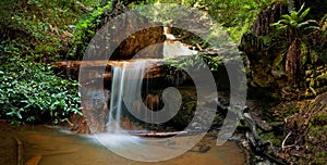 Silver Falls on Berry Creek Trail, Big Basin