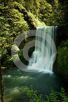 Silver Falls State Park, Lower South Falls