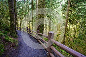 Silver Falls State Park