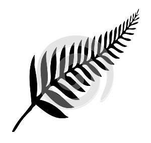 Silver Fern of New Zealand