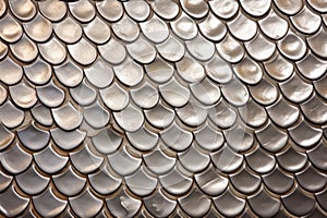 silver fish scales up close